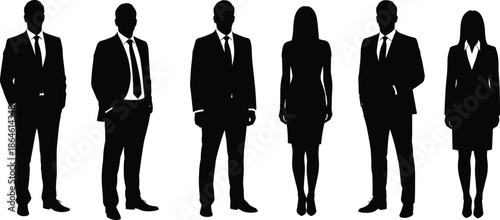 Business silhouettes, diverse professionals in suits, teamwork concept, leadership, office staff