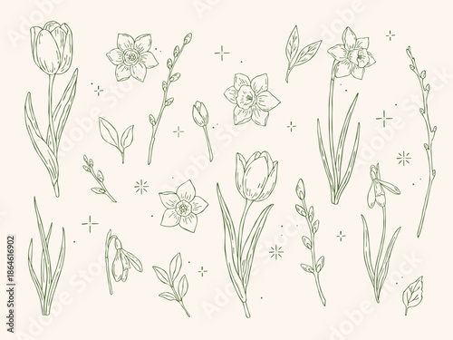 Hand drawn spring vector set featuring outline tulips, daffodils, snowdrops, leaves, branches, twigs and star elements. Designed for cards, invitations, surface patterns and seasonal projects