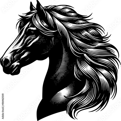 Majestic Horse Portrait: A striking monochrome illustration showcases the powerful silhouette of a horse, its flowing mane and noble features rendered in meticulous detail.