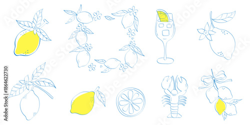 Lemon line art vector set – Mediterranean summer citrus for food and drink branding