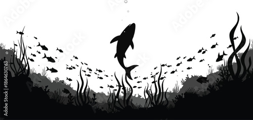 Shark Silhouetted Underwater Surrounded By Fish