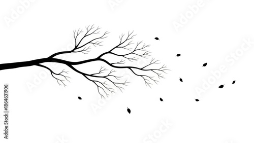 Bare tree branch with leaves falling isolated on white background