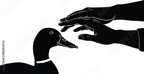 Human hand touching duck silhouette, gentle interaction between person and animal, trust care nature concept, black vector illustration, wildlife protection symbol isolated background
