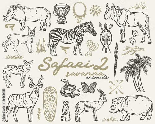 Safari Whimsical Set - vector hand drawn illustrations