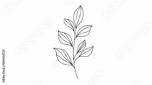 Minimalist line drawing of a delicate plant stem with leaves.