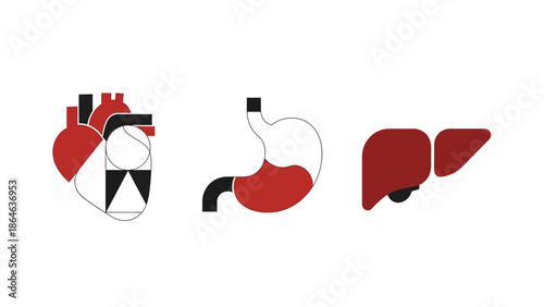Abstract Icons Representing Human Organs Heart, Stomach, and Liver