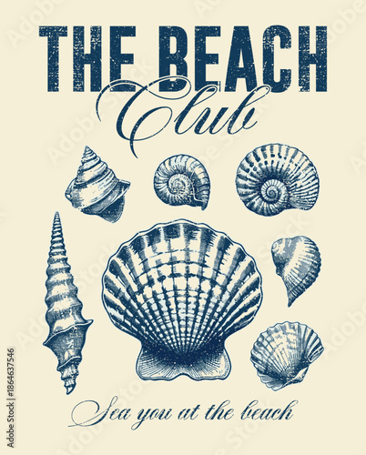 A tropical collection of sea shells vector illustration featuring a marine set of scallop, conch, and oyster shapes isolated on a summer beach sand pattern for nature and ocean designs