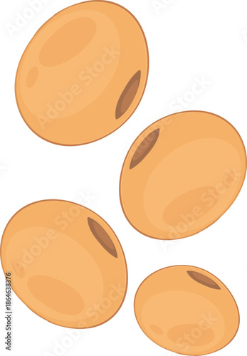 Soya bean plant protein illustration.