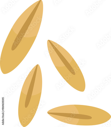 Oats grain protein food illustration.