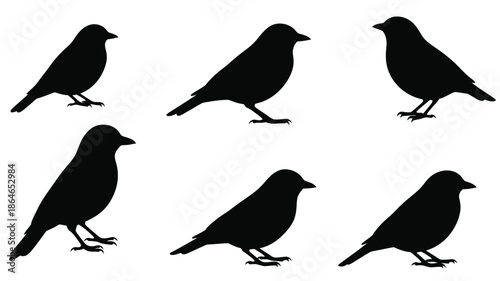 A collection of black bird silhouettes in various poses and positions