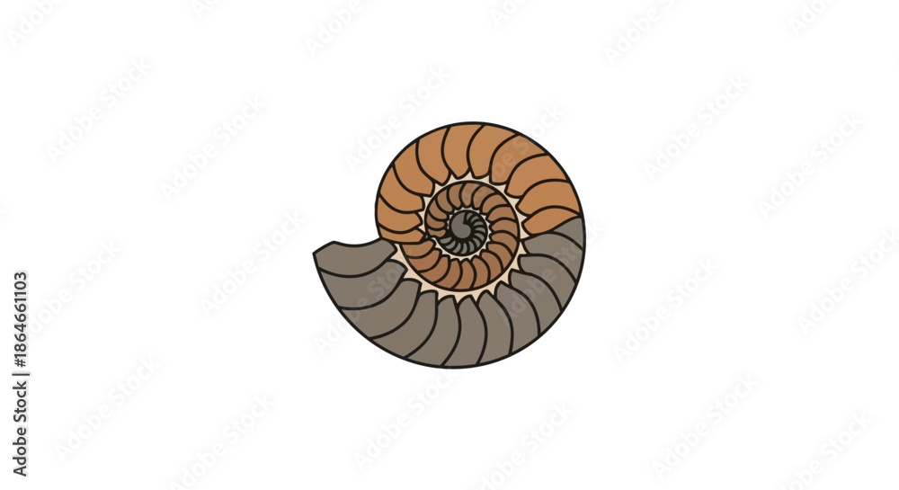 Obraz premium Illustration of an ancient spiral shell cross-section, revealing logarithmic chambers and nature's geometric elegance.