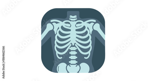 Detailed human torso skeletal structure depicted in a modern, stylized x-ray graphic illustration. Perfect for medical, scientific, and healthcare