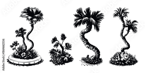 Collection of stylized tropical palm tree and exotic plant silhouettes with decorative curved trunks, perfect for adding a natural botanical touch to graphic designs, print projects, and