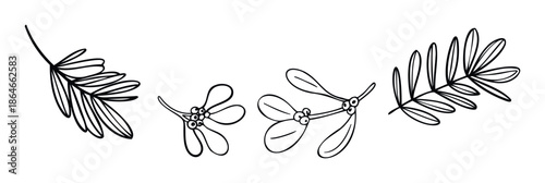 Simple black outline sketches of festive botanical branches and mistletoe berries for charming winter season designs and unique greeting projects