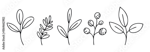 A collection of minimalist handdrawn botanical line art depicting various plant branches with leaves and berries, perfect for natureinspired graphic resources, branding, and decorative