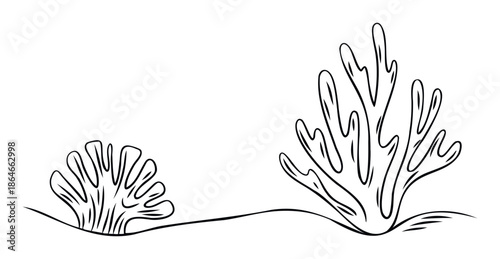 Stylized underwater plants and delicate marine flora depicted with abstract black line work, ideal for oceanthemed educational materials, aquatic decor, or serene natureinspired