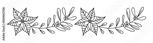 Simple hand drawn poinsettia and mistletoe Christmas floral border for winter holiday greeting decorations or seasonal event invitations