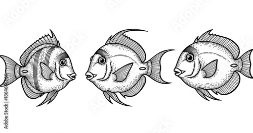 Hand-drawn tropical fish trio illustration in black and white