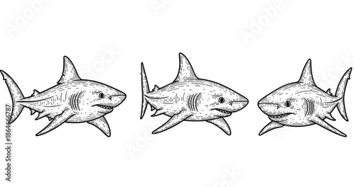 Hand-drawn black and white shark illustrations swimming forward
