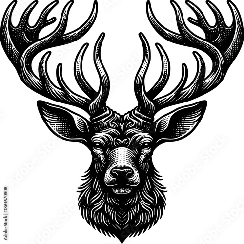 Majestic Stag Portrait: A detailed monochrome depiction of a stag's head, showcasing its impressive antlers and regal demeanor, rendered in an elegant, vintage style.