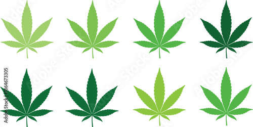 Green cannabis leaf vector set with different shades marijuana hemp foliage icons isolated on white background