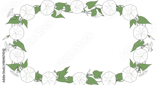 Rectangular frame made of white morning glory flowers and green heart-shaped leaves for decorative borders and wedding invitations.