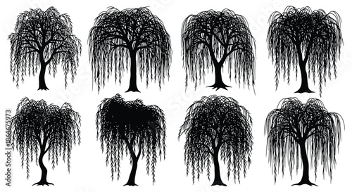 A collection of weeping willow trees in various styles and designs on a white background