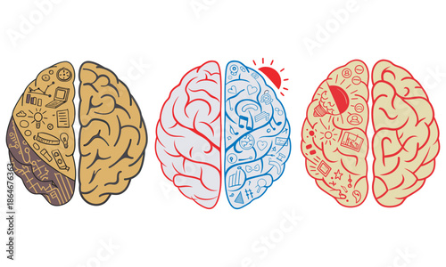 Conceptual brain hemispheres displaying logic and creative thinking processes