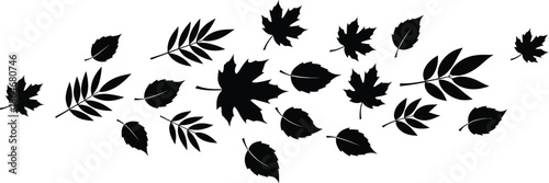 Black leaves falling in a beautiful natural pattern