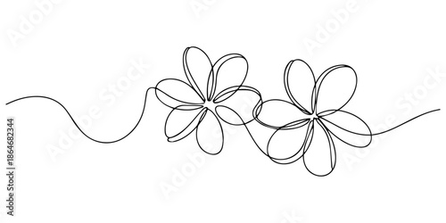 Flower continuous line art drawing. Plumeria one line symbol. Frangipani blossom. Vector illustration isolated on white, Plumeria flowers in continuous line art drawing style. Minimalist black line.