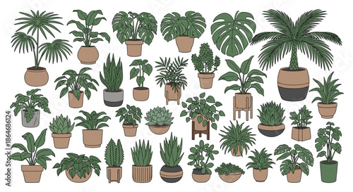 Extensive collection of many different indoor house plants in various decorative pots and planters isolated on a white background.