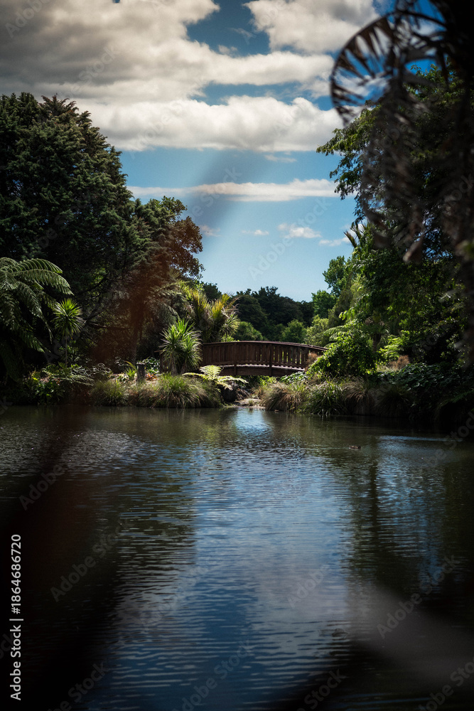 Fototapeta premium lake in the forest