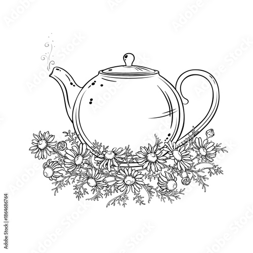 Chamomile Tea in Teapot aroma beverage Outline Illustration. Vector isolated for Design and Decoration for Cafeteria, Posters, Banners, Cards.
