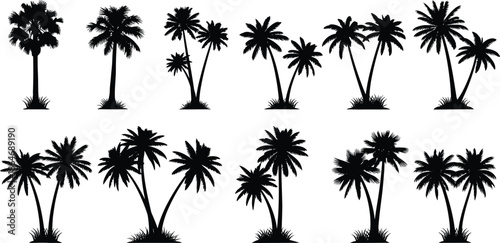 Palm tree silhouette collection illustration featuring tropical palm varieties, isolated on white background for summer, beach, travel, and landscape design concepts