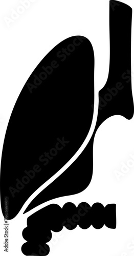 Human Lungs and Trachea Silhouette Icon Medical Illustration
