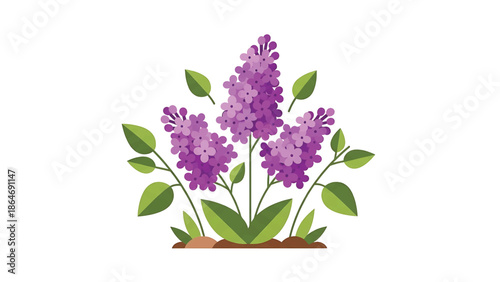 A vibrant, flat-style illustration featuring lilac flowers in full bloom. The purple blooms are clustered. Green leaves and stems surround