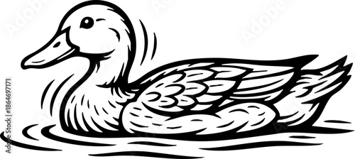 Wild duck swimming on water vintage style black and white illustration