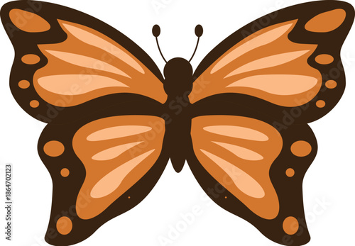 Colorful butterfly with spread wings, showcasing intricate patterns and vibrant hues