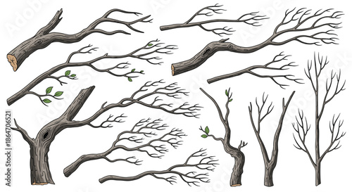 Huge set of cute cartoon animal characters from farm forest and safari for children education and nursery decoration themes.