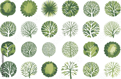 Watercolor tree canopy top view collection, hand painted green foliage circles for landscape design, map elements, illustration assets