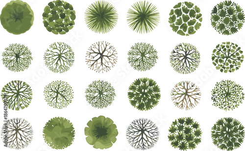 Watercolor tree canopy top view collection, hand painted green foliage circles for landscape design, map elements, illustration assets