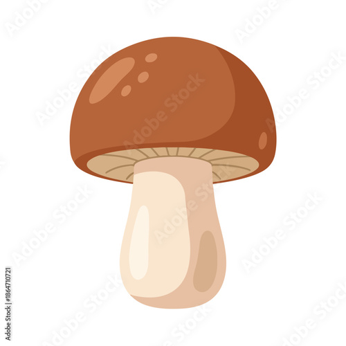 Organic Brown Mushroom Illustration Isolated on White Background