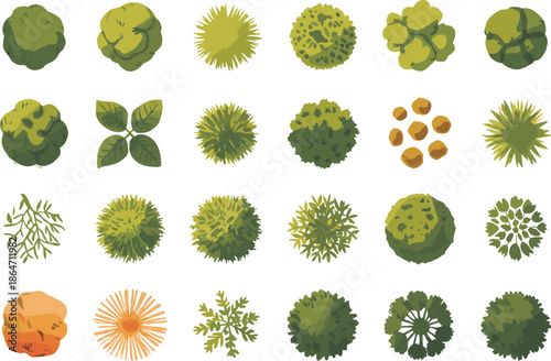 Top view tree and bush set, green foliage collection, landscape design elements, flat nature illustration, gardening assets pack