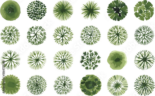 Watercolor tree canopy top view collection, hand painted green foliage circles for landscape design, map elements, illustration assets