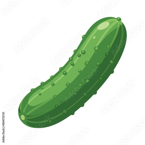 Fresh Green Cucumber Vector Illustration Isolated on White Background