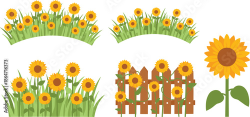 Cheerful Summer Sunflower Vector Collection Featuring Flowers in Grass Patches, a Wooden Garden Fence Arrangement, and a Single Tall Plant for Bright Nature Designs