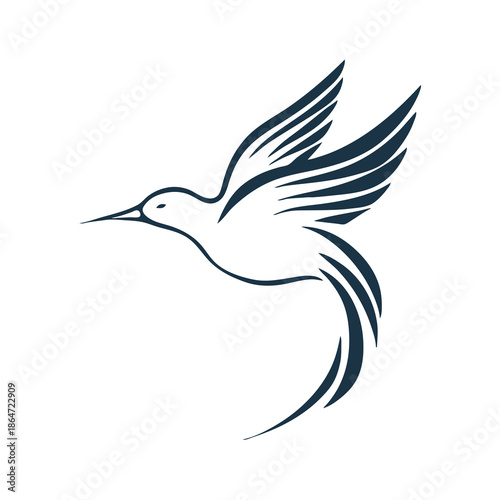 black bird and white background 