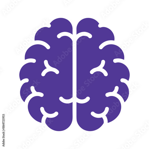 Brain Illustration Vector