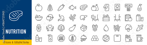 Nutrition web icon set in line style. Treatment, healthy food, health, diet, obesity, palm oil free, collection. Editable stroke. Vector illustration.