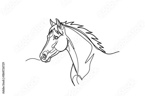 Elegant Continuous Line Drawing of a Horse Head